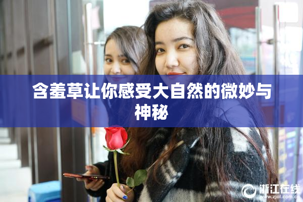 含羞草让你感受大自然的微妙与神秘