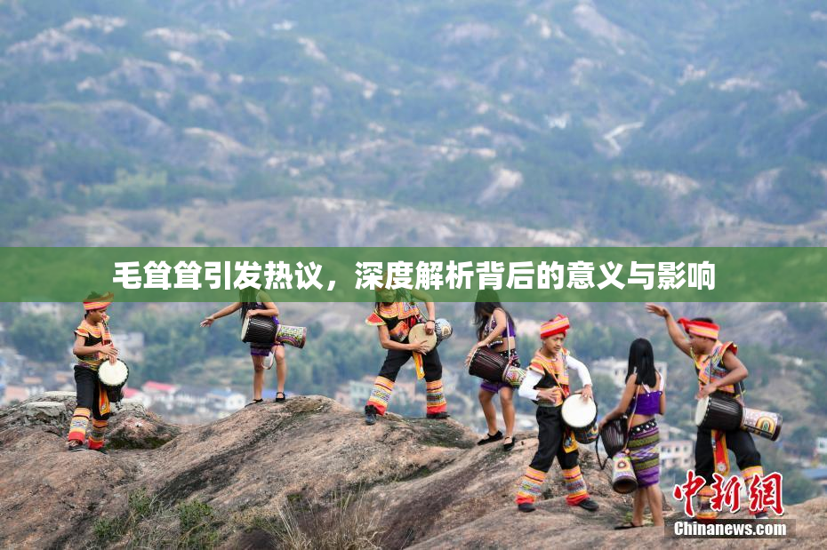 毛耸耸引发热议，深度解析背后的意义与影响