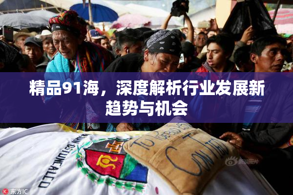 精品91海，深度解析行业发展新趋势与机会