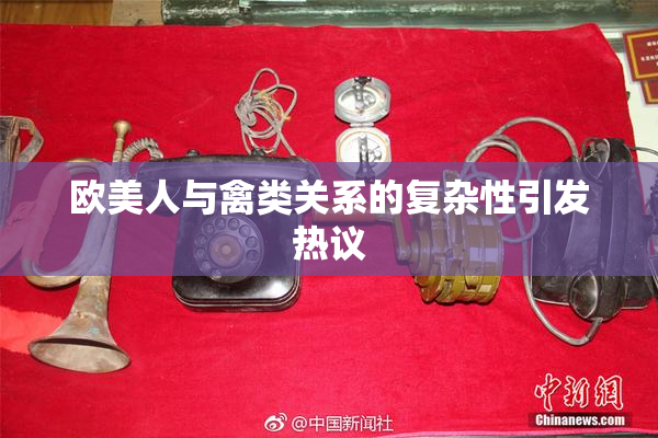 欧美人与禽类关系的复杂性引发热议