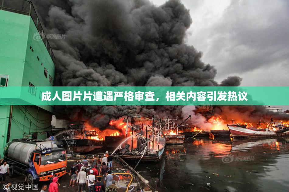 成人图片片遭遇严格审查，相关内容引发热议