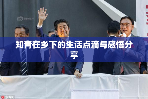 知青在乡下的生活点滴与感悟分享