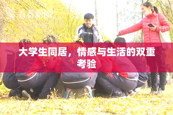 大学生同居，情感与生活的双重考验