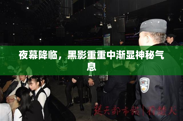 夜幕降临，黑影重重中渐显神秘气息