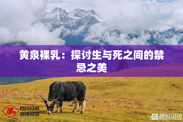 黄泉裸乳：探讨生与死之间的禁忌之美