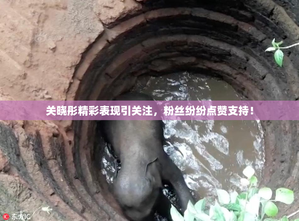 关晓彤精彩表现引关注，粉丝纷纷点赞支持！