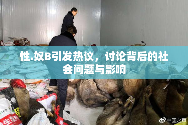 性.奴B引发热议，讨论背后的社会问题与影响