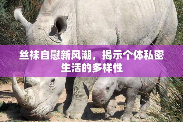 丝袜自慰新风潮，揭示个体私密生活的多样性