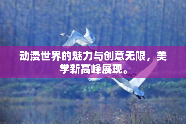 动漫世界的魅力与创意无限，美学新高峰展现。