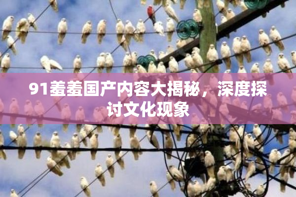 91羞羞国产内容大揭秘，深度探讨文化现象