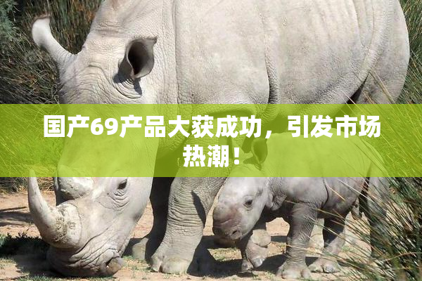 国产69产品大获成功，引发市场热潮！