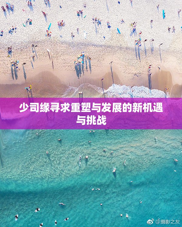 少司缘寻求重塑与发展的新机遇与挑战
