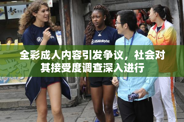 全彩成人内容引发争议，社会对其接受度调查深入进行