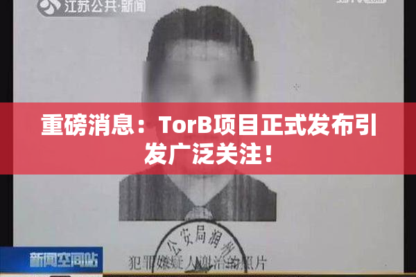 重磅消息：TorB项目正式发布引发广泛关注！