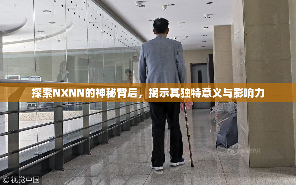 探索NXNN的神秘背后，揭示其独特意义与影响力