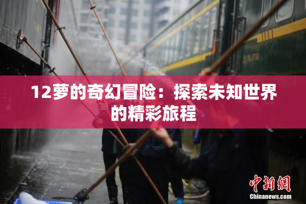 12萝的奇幻冒险：探索未知世界的精彩旅程
