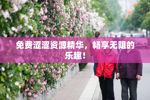 免费涩涩资源精华，畅享无阻的乐趣！