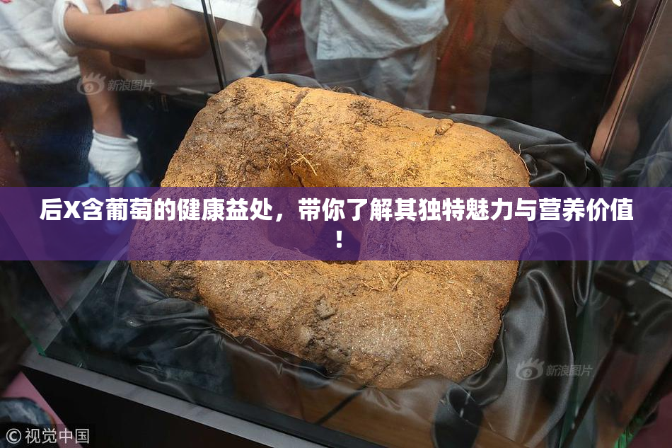 后X含葡萄的健康益处，带你了解其独特魅力与营养价值！