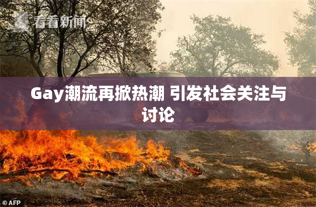 Gay潮流再掀热潮 引发社会关注与讨论