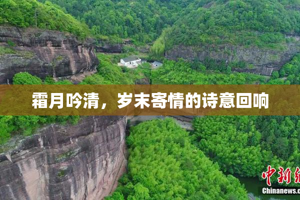 霜月吟清，岁末寄情的诗意回响