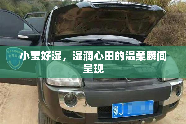 小莹好湿，湿润心田的温柔瞬间呈现
