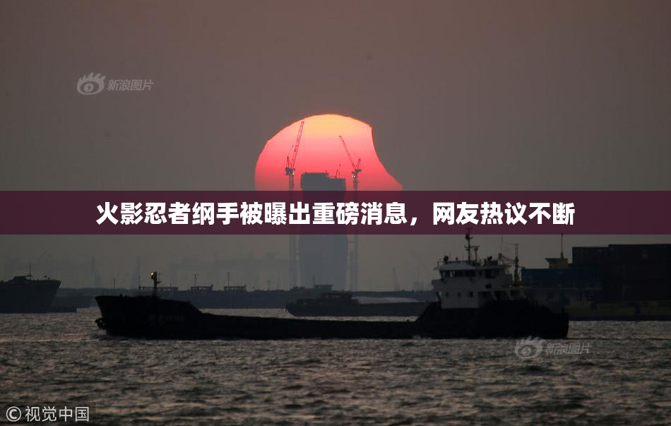 火影忍者纲手被曝出重磅消息，网友热议不断