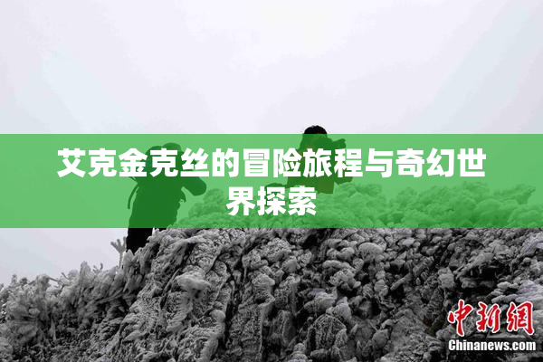 艾克金克丝的冒险旅程与奇幻世界探索