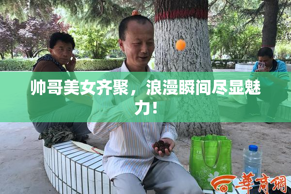 帅哥美女齐聚，浪漫瞬间尽显魅力！