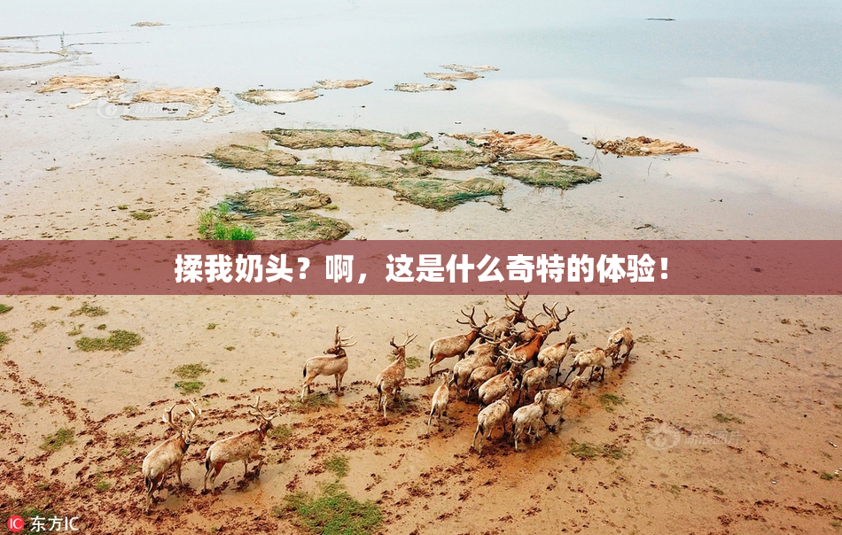 揉我奶头？啊，这是什么奇特的体验！