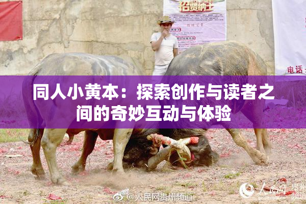 同人小黄本：探索创作与读者之间的奇妙互动与体验
