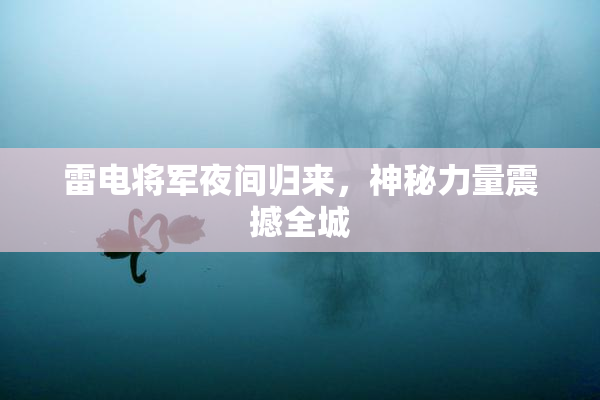 雷电将军夜间归来，神秘力量震撼全城