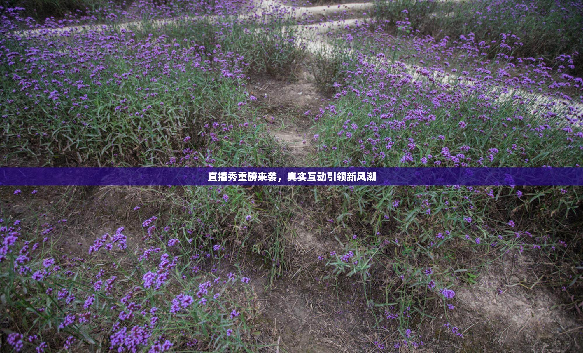 直播秀重磅来袭，真实互动引领新风潮