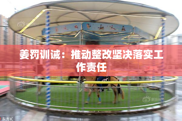 姜罚训诫：推动整改坚决落实工作责任