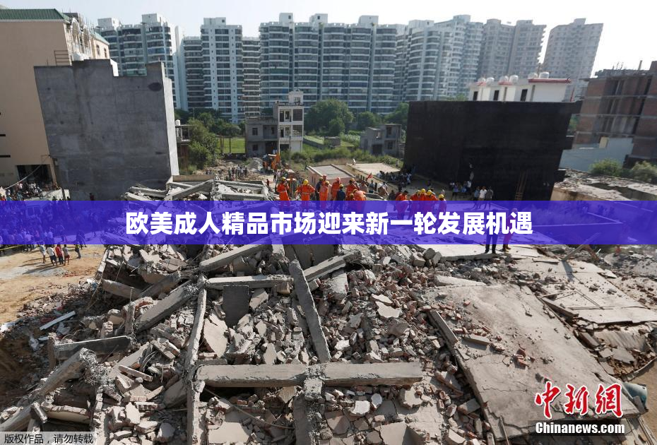 欧美成人精品市场迎来新一轮发展机遇