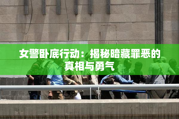 女警卧底行动：揭秘暗藏罪恶的真相与勇气
