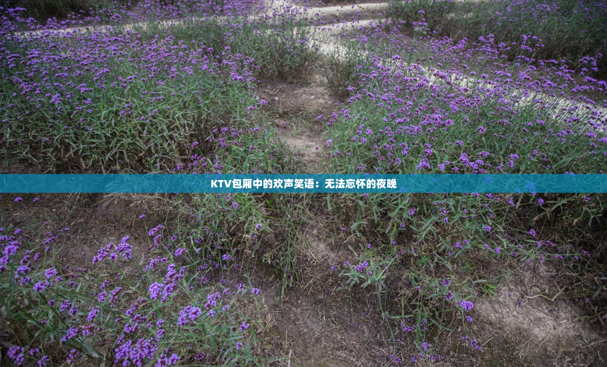 KTV包厢中的欢声笑语：无法忘怀的夜晚