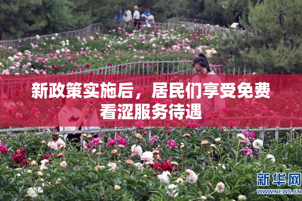 新政策实施后，居民们享受免费看涩服务待遇