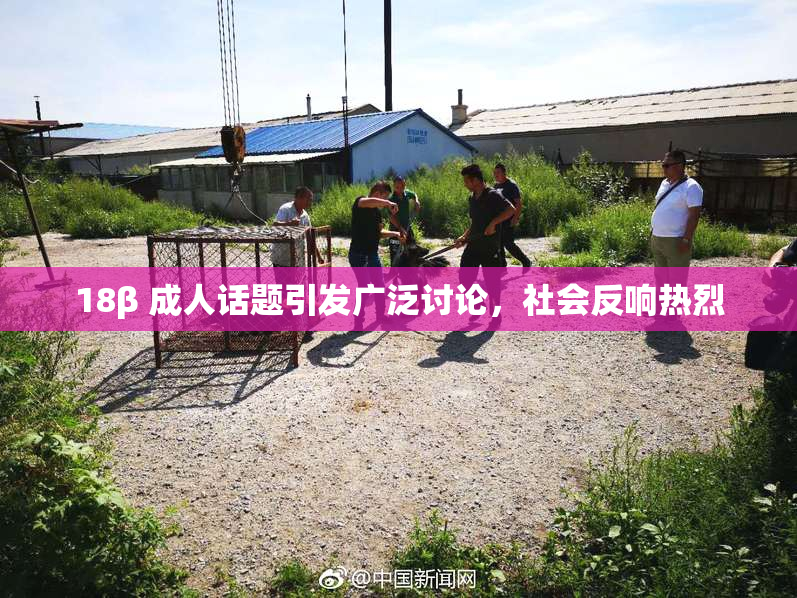 18β 成人话题引发广泛讨论，社会反响热烈