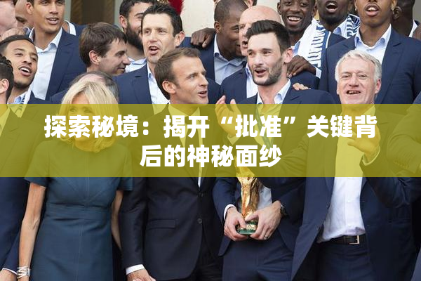 探索秘境：揭开“批准”关键背后的神秘面纱
