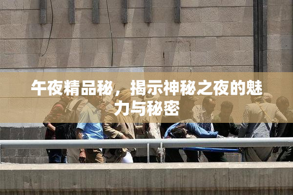 午夜精品秘，揭示神秘之夜的魅力与秘密