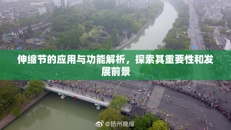 伸缩节的应用与功能解析，探索其重要性和发展前景