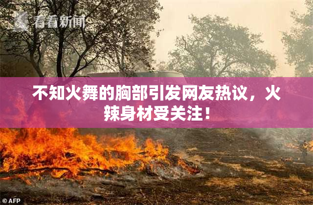 不知火舞的胸部引发网友热议，火辣身材受关注！