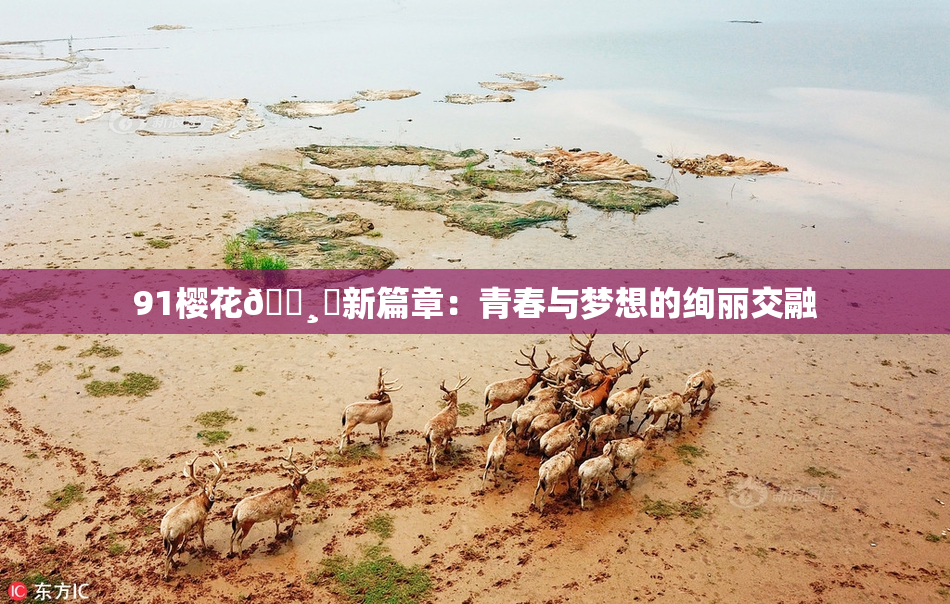 91樱花🌸‌新篇章：青春与梦想的绚丽交融