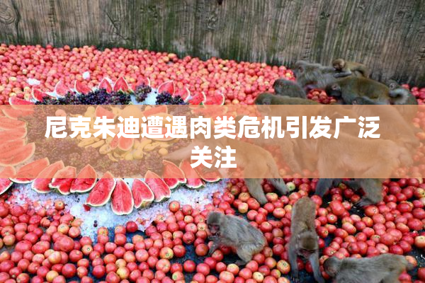 尼克朱迪遭遇肉类危机引发广泛关注