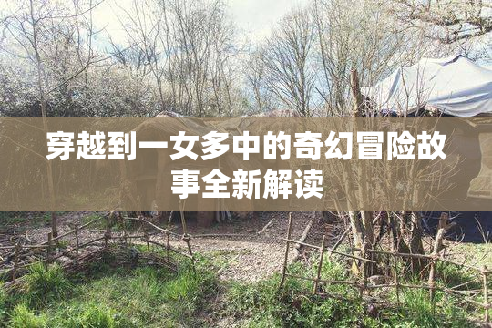 穿越到一女多中的奇幻冒险故事全新解读