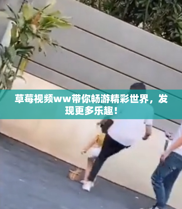 草莓视频ww带你畅游精彩世界，发现更多乐趣！