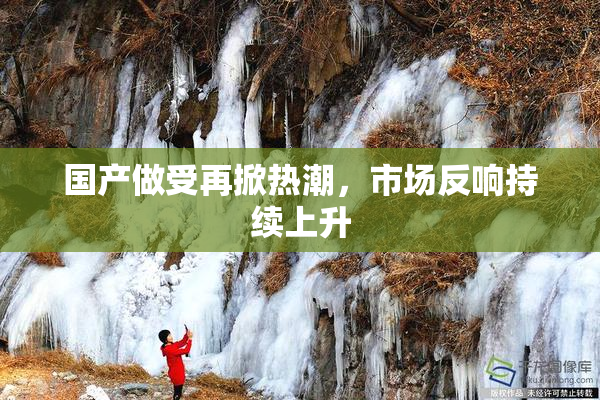 国产做受再掀热潮，市场反响持续上升