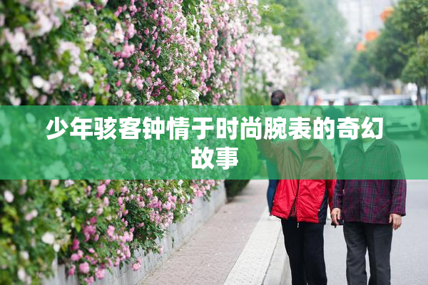 少年骇客钟情于时尚腕表的奇幻故事