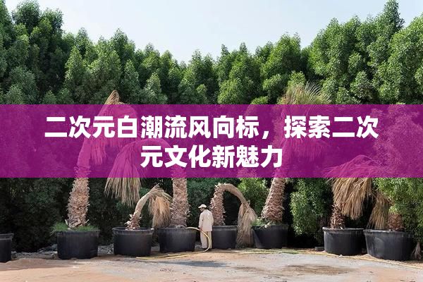 二次元白潮流风向标，探索二次元文化新魅力