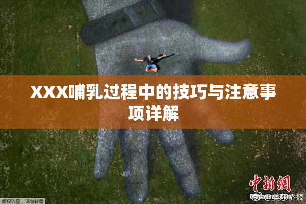 XXX哺乳过程中的技巧与注意事项详解